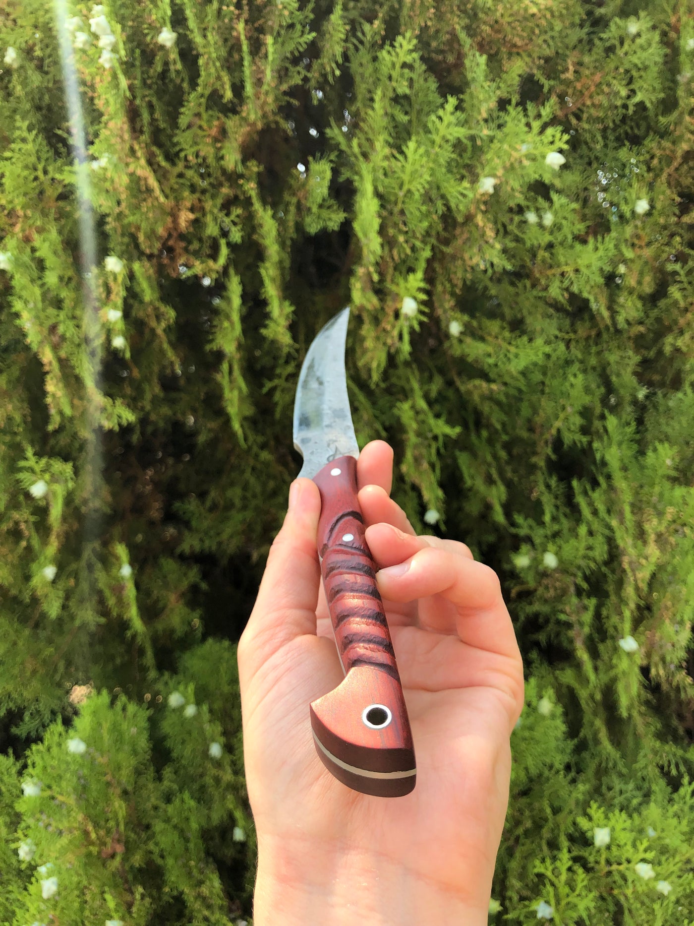 Mystic Reverie: Hand Forged Bloodwood Blade