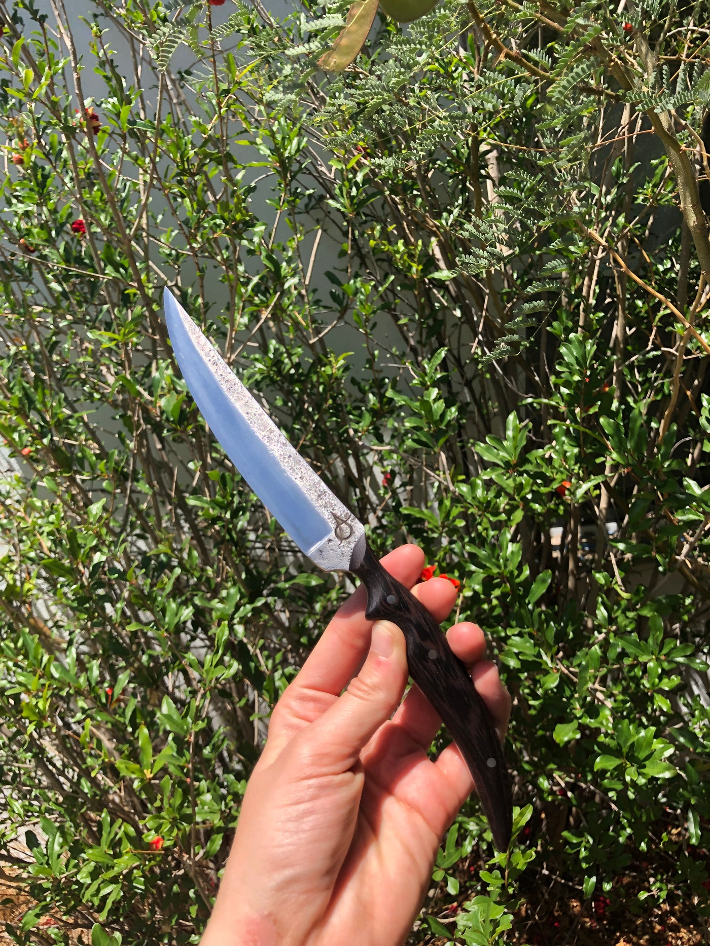 Timeless Traveler: Handcrafted Purse Companion Knife