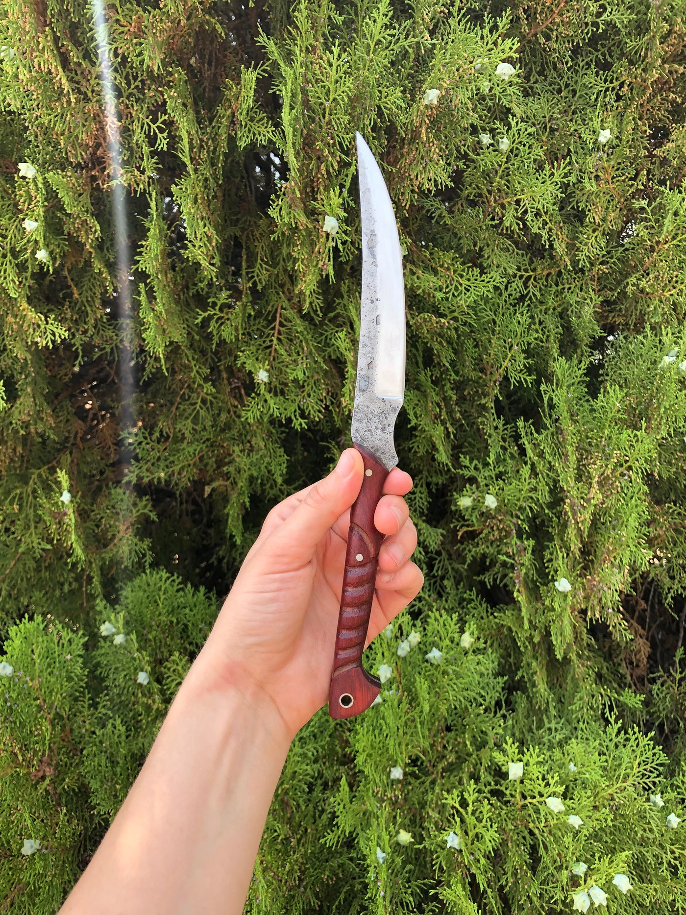 Mystic Reverie: Hand Forged Bloodwood Blade